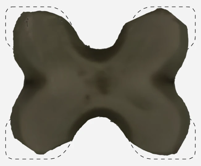 Scan of the shaped plasticine X inside the dashed target outline